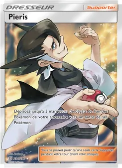 Carte Pokémon Pieris 234