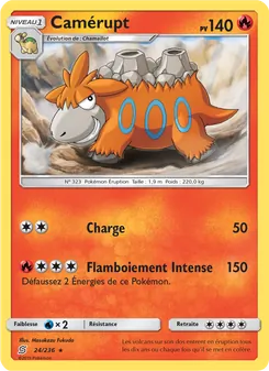 Carte Pokémon Camérupt 24