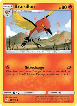 Carte Pokémon Braisillon 31