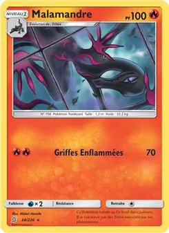 Carte Pokémon Malamandre 34