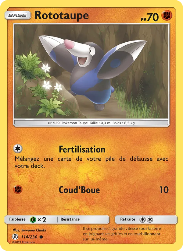 Carte Pokémon Rototaupe 114/236 de l'extension Éclipse Cosmique