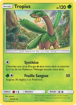 Carte Pokémon Tropius 12