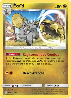 Carte Pokémon Écaïd 162
