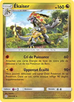 Carte Pokémon Ékaïser 163