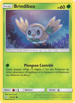 Carte Pokémon Brindibou 18