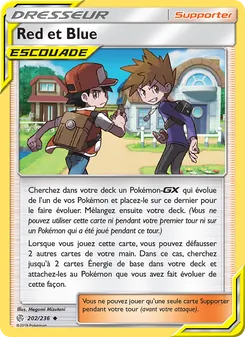 Carte Pokémon Red et Blue 202