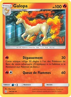 Carte Pokémon Galopa 24