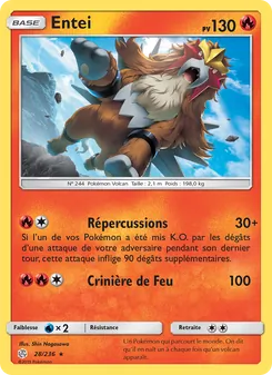 Carte Pokémon Entei 28