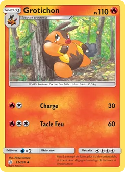 Carte Pokémon Grotichon 32
