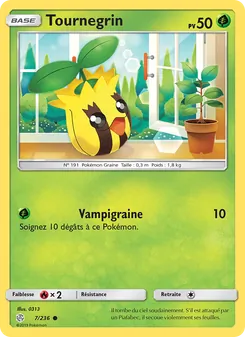 Carte Pokémon Tournegrin 7