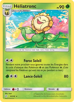 Carte Pokémon Héliatronc 8