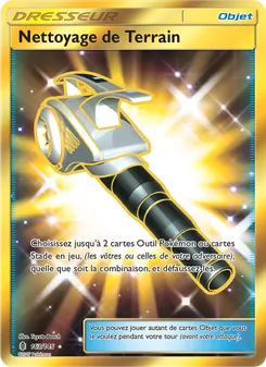 Carte Pokémon Nettoyage de Terrain 163 — Gardiens Ascendants