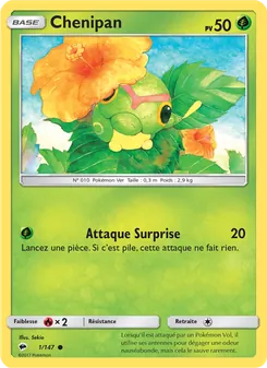 Carte Pokémon Chenipan 1