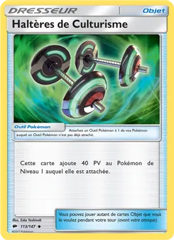 Carte Pokémon Haltères de Culturisme 113