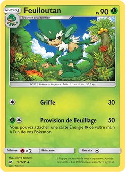 Carte Pokémon Feuiloutan 13