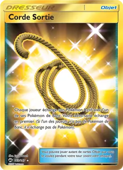 Carte Pokémon Corde Sortie 163