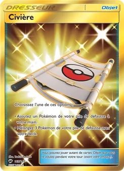 Carte Pokémon Civière 165