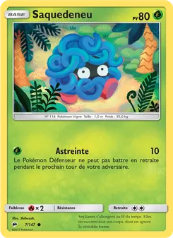 Carte Pokémon Saquedeneu 7