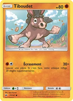 Carte Pokémon Tiboudet 77