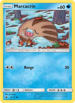 Carte Pokémon Marcacrin 19