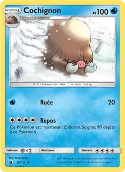 Carte Pokémon Cochignon 20