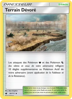 Carte Pokémon Terrain Dévoré 93