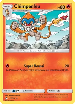 Carte Pokémon Chimpenfeu 22