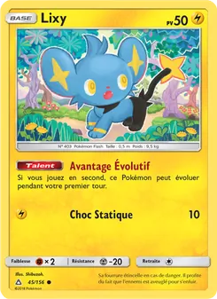 Carte Pokémon Lixy 45