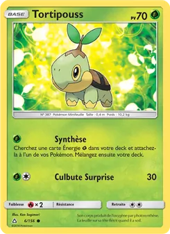 Carte Pokémon Tortipouss 6