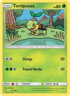 Carte Pokémon Tortipouss 7