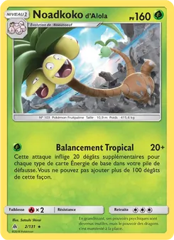 Carte Pokémon Noadkoko d’Alola 2
