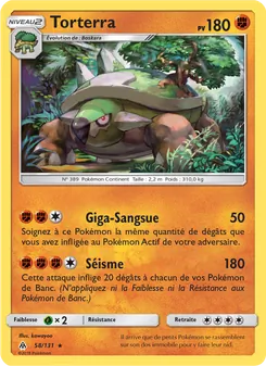 Carte Pokémon Torterra 58