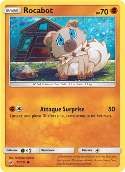 Carte Pokémon Rocabot 75