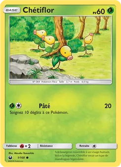 Carte Pokémon Chétiflor 1