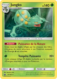 Carte Pokémon Jungko 10