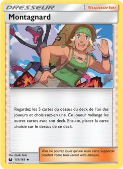 Carte Pokémon Montagnard 133