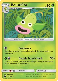 Carte Pokémon Boustiflor 2