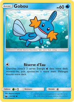Carte Pokémon Gobou 32