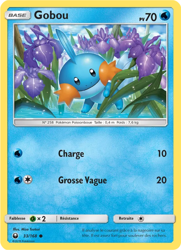 Carte Pokémon Gobou 33/168 de l'extension Tempête Céleste