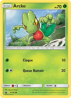 Carte Pokémon Arcko 8
