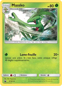 Carte Pokémon Massko 9