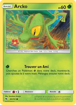 Carte Pokémon Arcko 20