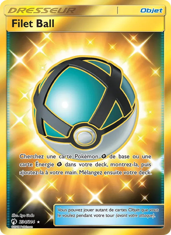 Carte Pokémon Filet Ball 234/214 de l'extension Tonnerre Perdu