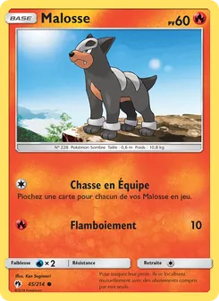 Carte Pokémon Malosse 45