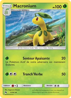 Carte Pokémon Macronium 7