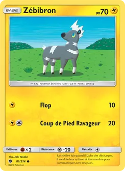 Carte Pokémon Zébibron 81