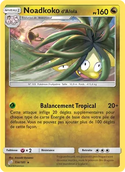 Carte Pokémon Noadkoko d’Alola 114