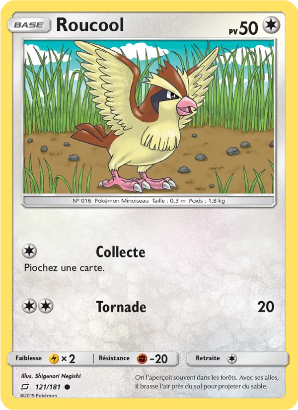 Carte Pokémon Roucool 121/181 de l'extension Duo de Choc