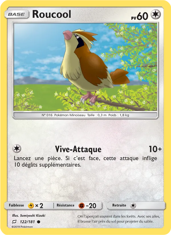 Carte Pokémon Roucool 122/181 de l'extension Duo de Choc