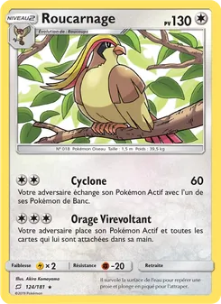 Carte Pokémon Roucarnage 124